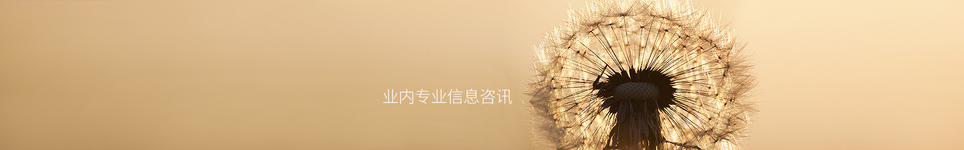 孝墓乡